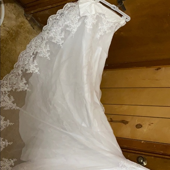 David's Bridal Wedding Dress - Picture 5 of 6